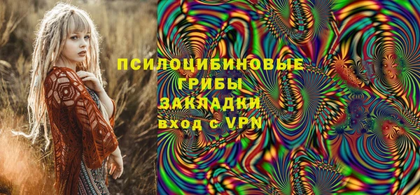 марки lsd Белокуриха