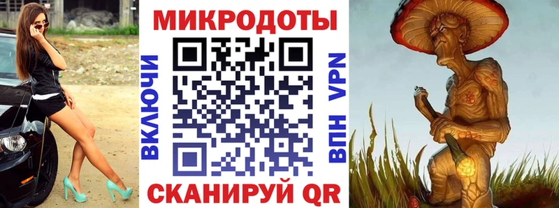 наркотики  Брянск  Псилоцибиновые грибы GOLDEN TEACHER 